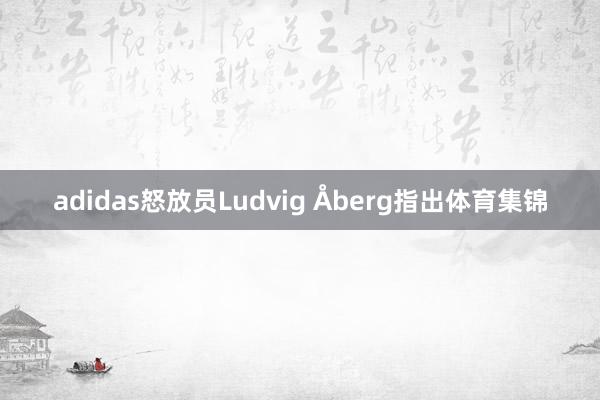 adidas怒放员Ludvig Åberg指出体育集锦