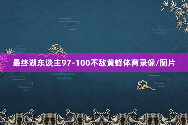 最终湖东谈主97-100不敌黄蜂体育录像/图片