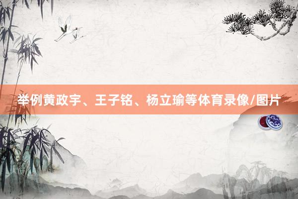 举例黄政宇、王子铭、杨立瑜等体育录像/图片
