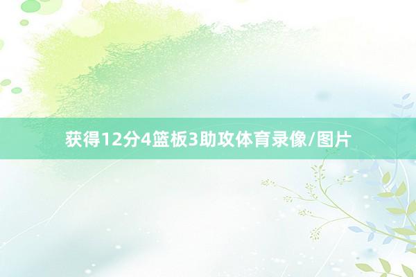 获得12分4篮板3助攻体育录像/图片