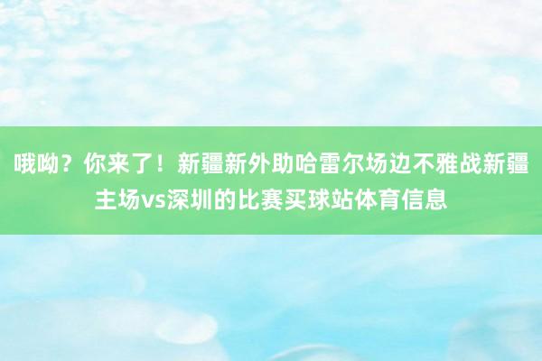 哦呦？你来了！新疆新外助哈雷尔场边不雅战新疆主场vs深圳的比赛买球站体育信息