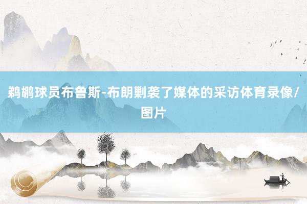 鹈鹕球员布鲁斯-布朗剿袭了媒体的采访体育录像/图片
