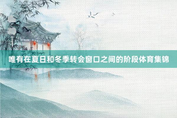 唯有在夏日和冬季转会窗口之间的阶段体育集锦