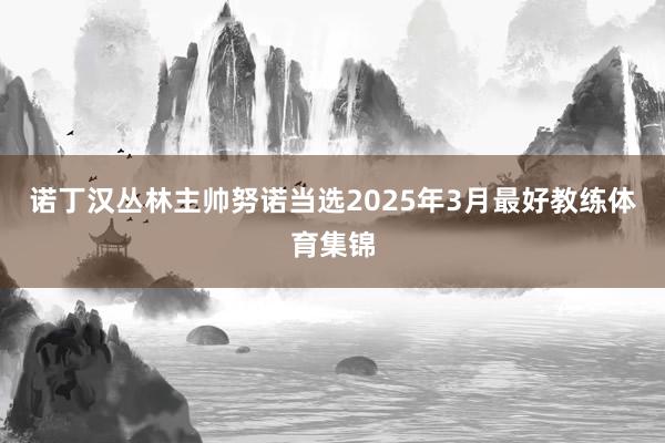 诺丁汉丛林主帅努诺当选2025年3月最好教练体育集锦