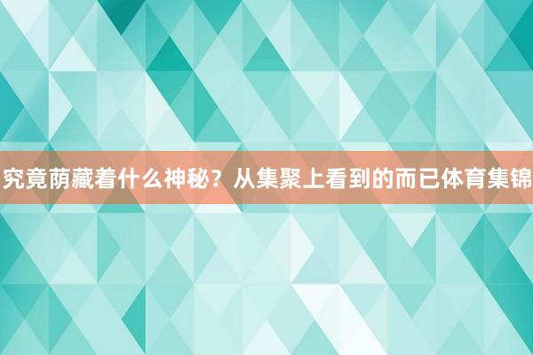 究竟荫藏着什么神秘？从集聚上看到的而已体育集锦