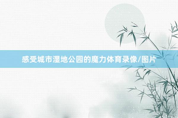 感受城市湿地公园的魔力体育录像/图片