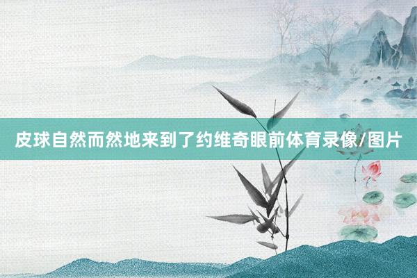 皮球自然而然地来到了约维奇眼前体育录像/图片