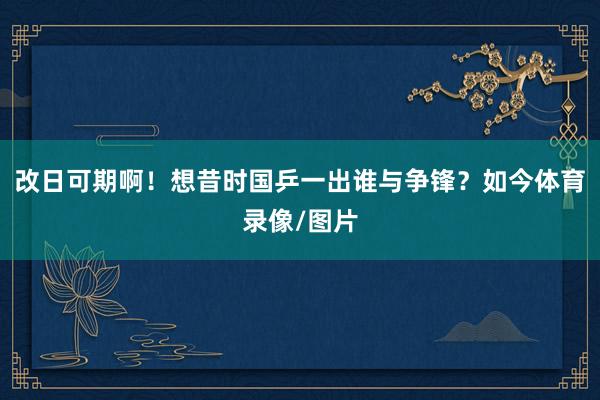 改日可期啊！想昔时国乒一出谁与争锋？如今体育录像/图片