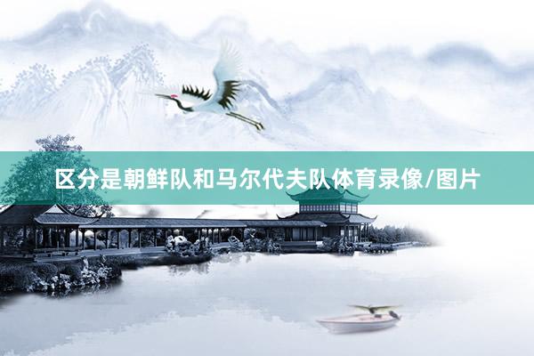 区分是朝鲜队和马尔代夫队体育录像/图片
