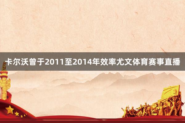 卡尔沃曾于2011至2014年效率尤文体育赛事直播