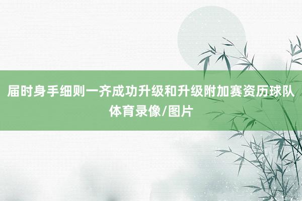 届时身手细则一齐成功升级和升级附加赛资历球队体育录像/图片