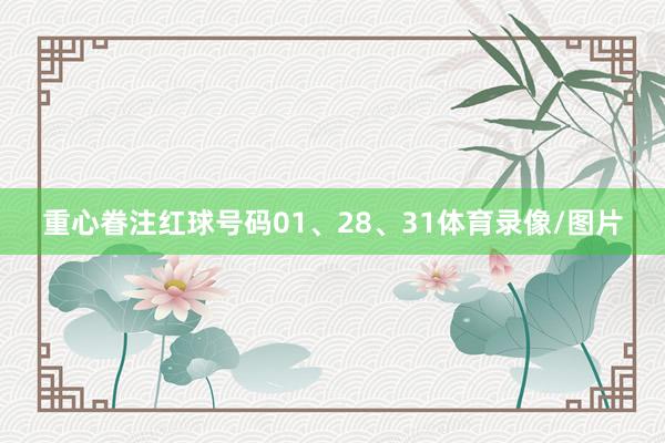 重心眷注红球号码01、28、31体育录像/图片