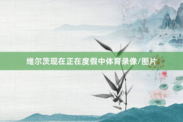 维尔茨现在正在度假中体育录像/图片