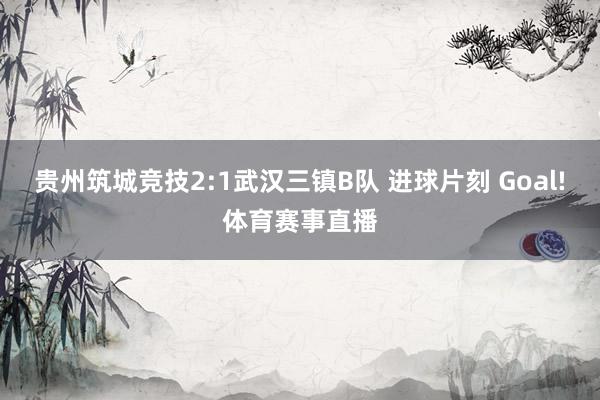 贵州筑城竞技2:1武汉三镇B队 进球片刻 Goal!体育赛事直播