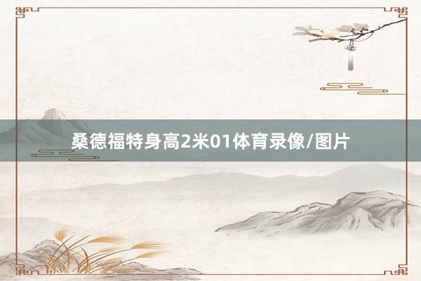 桑德福特身高2米01体育录像/图片