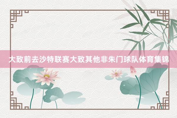 大致前去沙特联赛大致其他非朱门球队体育集锦