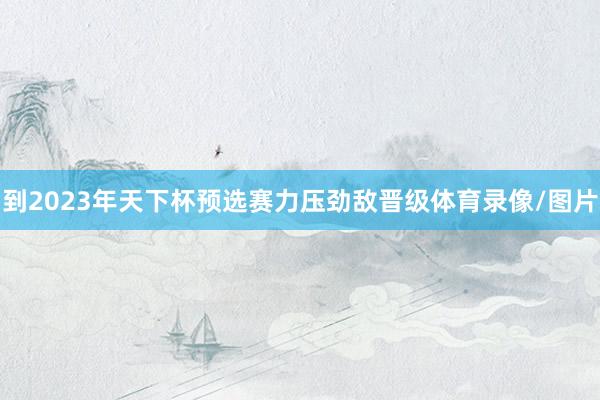 到2023年天下杯预选赛力压劲敌晋级体育录像/图片