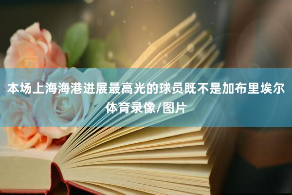 本场上海海港进展最高光的球员既不是加布里埃尔体育录像/图片