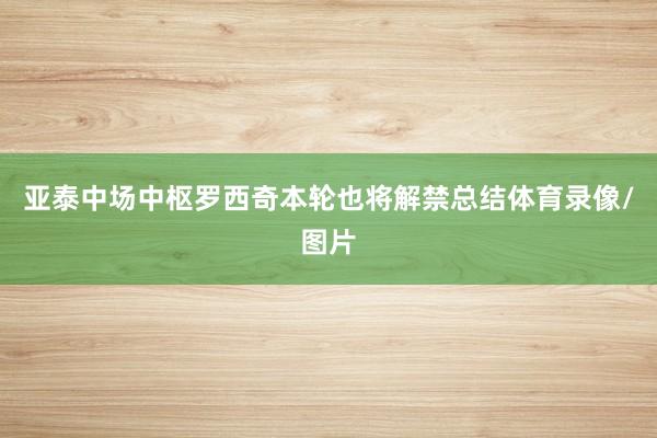 亚泰中场中枢罗西奇本轮也将解禁总结体育录像/图片