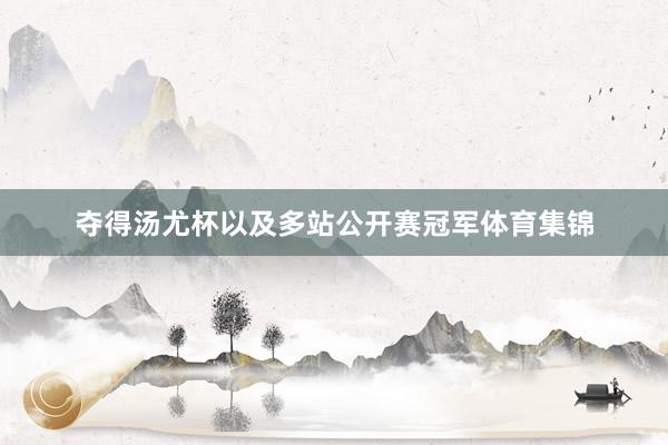 夺得汤尤杯以及多站公开赛冠军体育集锦