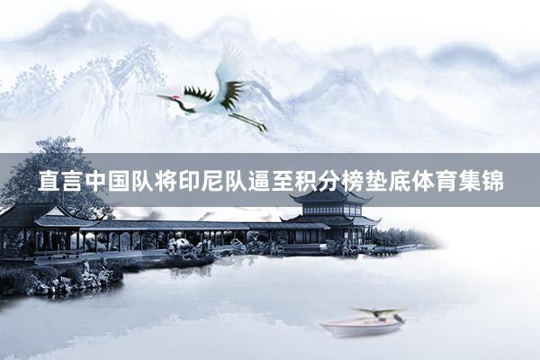 直言中国队将印尼队逼至积分榜垫底体育集锦