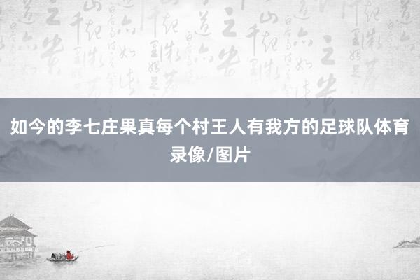 如今的李七庄果真每个村王人有我方的足球队体育录像/图片