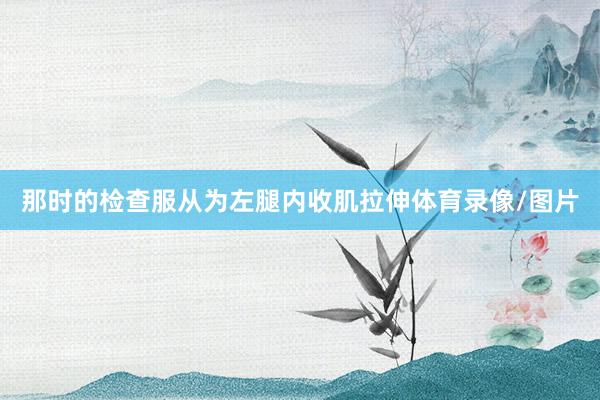 那时的检查服从为左腿内收肌拉伸体育录像/图片