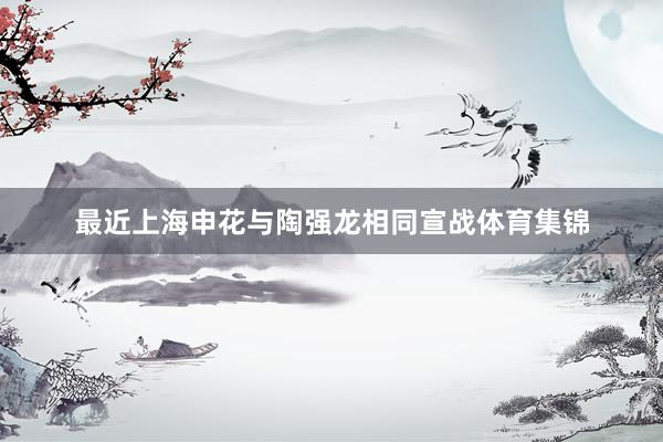 最近上海申花与陶强龙相同宣战体育集锦