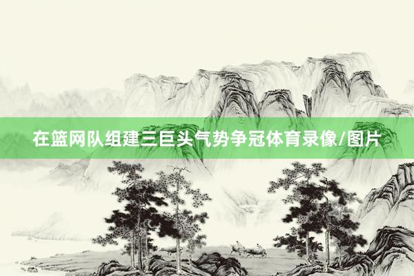 在篮网队组建三巨头气势争冠体育录像/图片