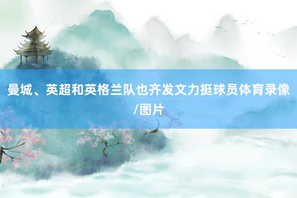 曼城、英超和英格兰队也齐发文力挺球员体育录像/图片