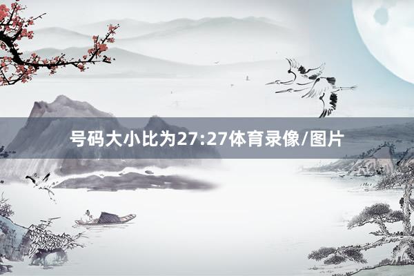 号码大小比为27:27体育录像/图片