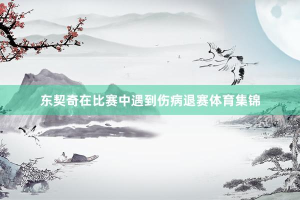 东契奇在比赛中遇到伤病退赛体育集锦