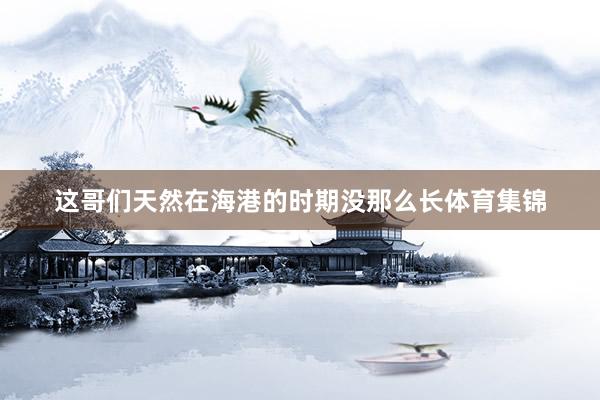 这哥们天然在海港的时期没那么长体育集锦