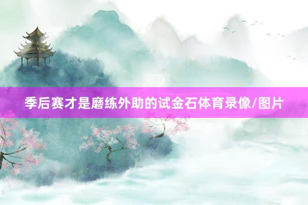 季后赛才是磨练外助的试金石体育录像/图片