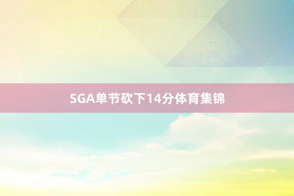 SGA单节砍下14分体育集锦