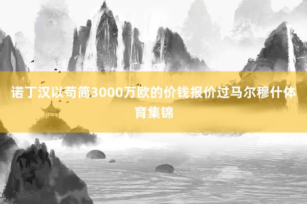 诺丁汉以苟简3000万欧的价钱报价过马尔穆什体育集锦