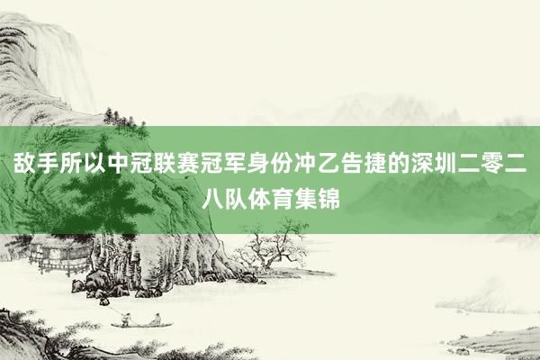 敌手所以中冠联赛冠军身份冲乙告捷的深圳二零二八队体育集锦