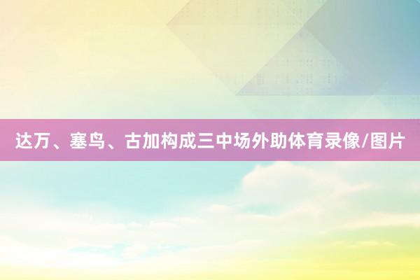 达万、塞鸟、古加构成三中场外助体育录像/图片