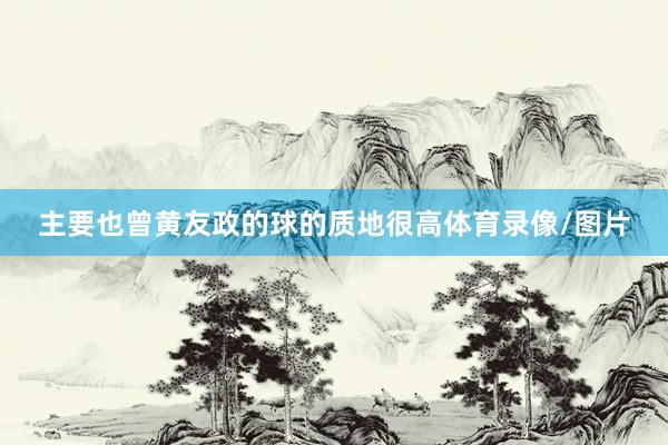 主要也曾黄友政的球的质地很高体育录像/图片