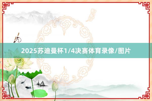 2025苏迪曼杯1/4决赛体育录像/图片