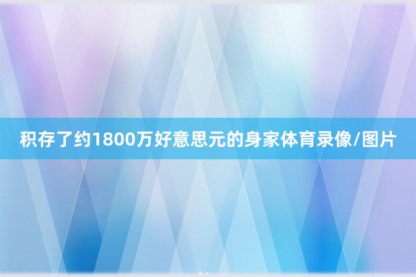 积存了约1800万好意思元的身家体育录像/图片