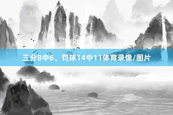 三分8中6、罚球14中11体育录像/图片