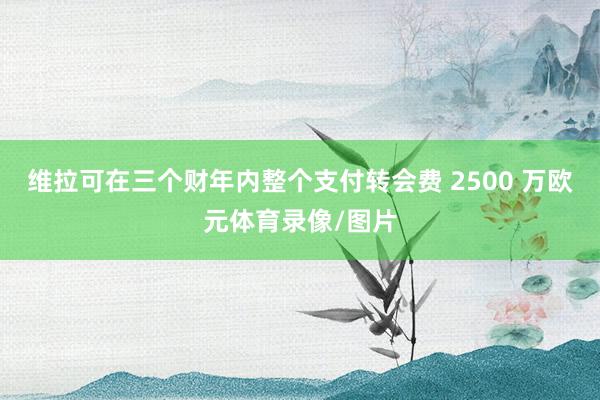 维拉可在三个财年内整个支付转会费 2500 万欧元体育录像/图片