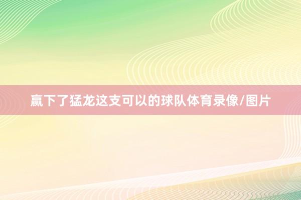 赢下了猛龙这支可以的球队体育录像/图片