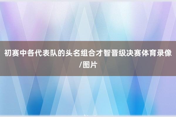 初赛中各代表队的头名组合才智晋级决赛体育录像/图片